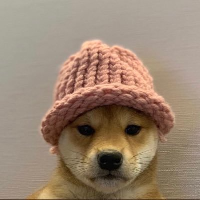 Shibun